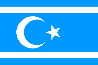[Syrian Turkmen Assembly]